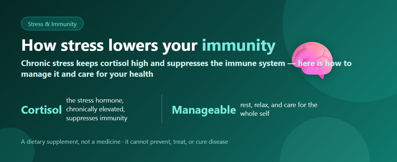 Stress and Immunity: How Chronic Stress Affects Your Immune System | BLB