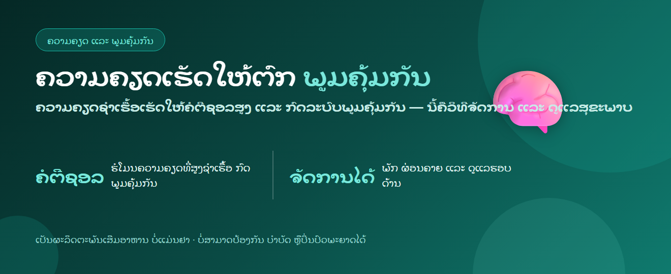 ຄວາມຄຽດ ແລະ ພູມຄຸ້ມກັນ : ຄວາມຄຽດຊໍາເຮື້ອສົ່ງຜົນຕໍ່ລະບົບພູມຄຸ້ມກັນຂອງທ່ານແນວໃດ | BLB