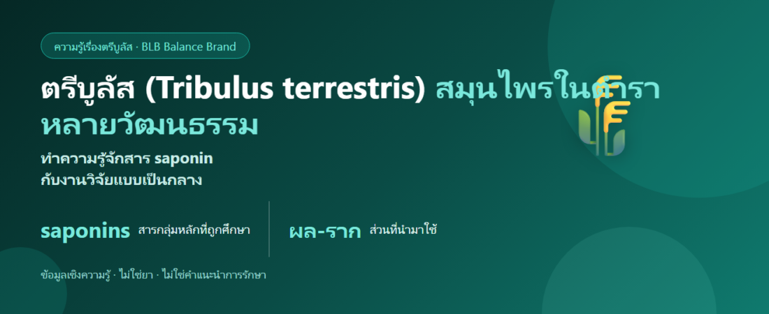 ตรีบูลัส (Tribulus terrestris) คืออะไร? ทำความรู้จักสมุนไพรกับงานวิจัย