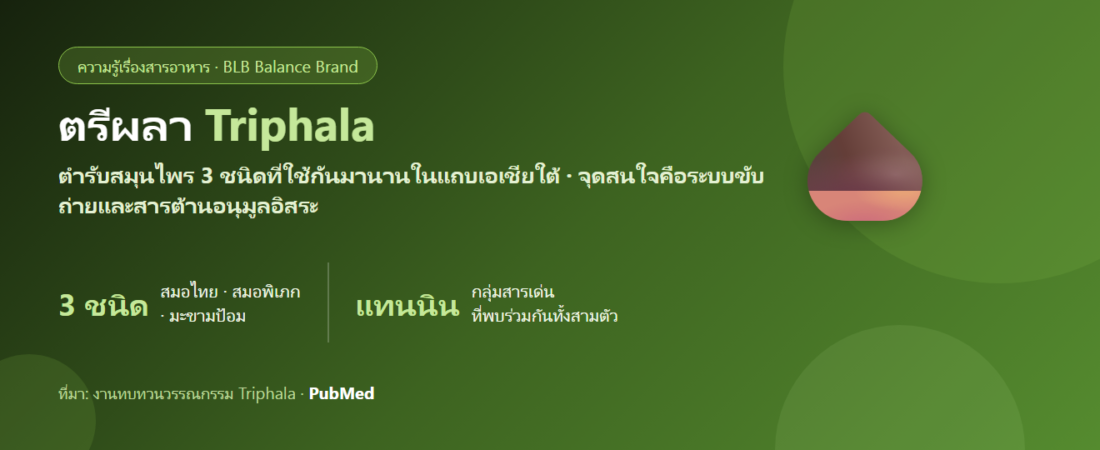 ตรีผลา (Triphala) คืออะไร? สมุนไพร 3 ชนิดกับงานวิจัยเรื่องการขับถ่ายและความสบายท้อง