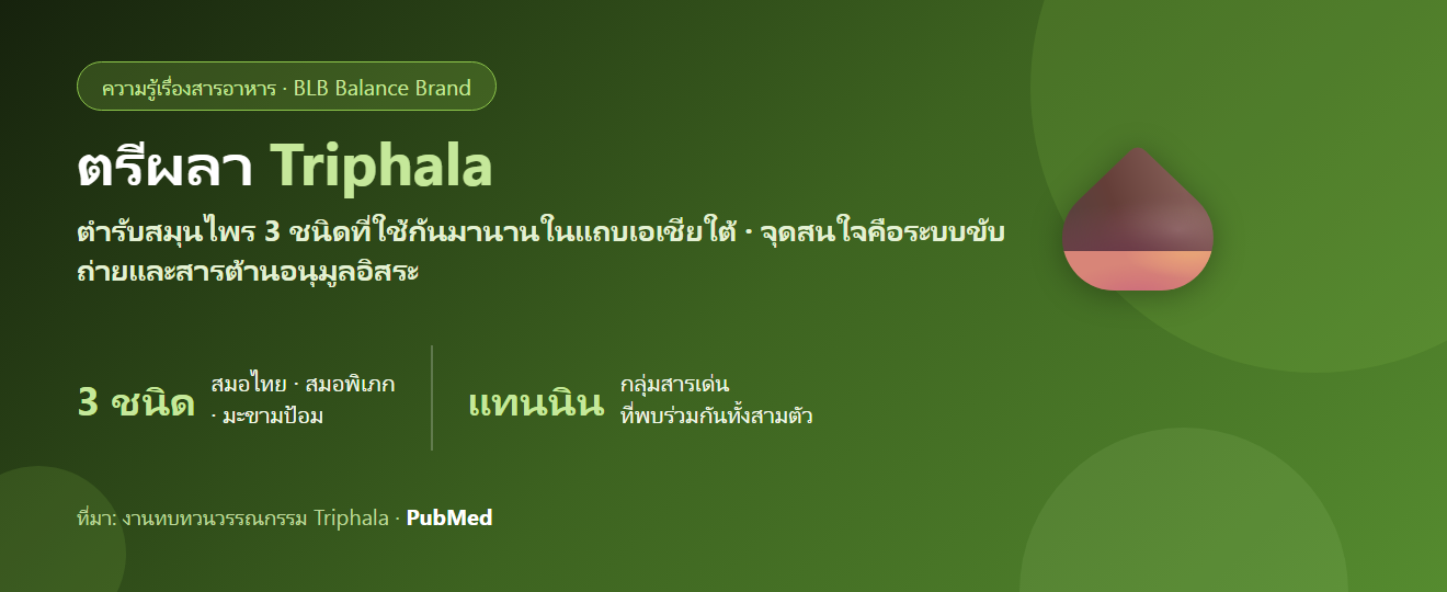 ตรีผลา (Triphala) คืออะไร? สมุนไพร 3 ชนิดกับงานวิจัยเรื่องการขับถ่ายและความสบายท้อง