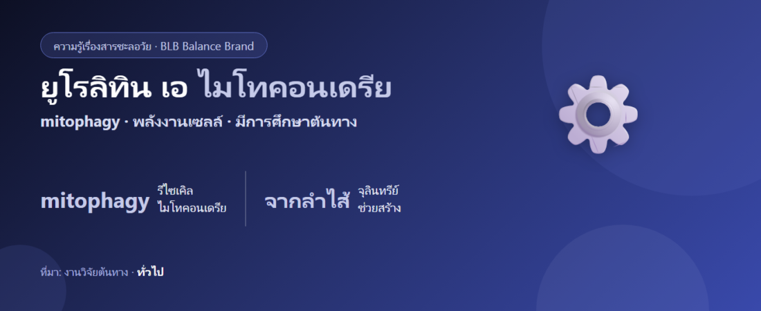 ยูโรลิทิน เอ คืออะไร? กับไมโทคอนเดรียและ mitophagy อธิบายตามงานวิจัยต้นทาง