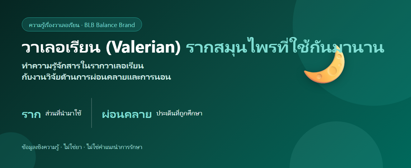 วาเลอเรียน (Valerian) คืออะไร? สมุนไพรที่มีการศึกษาเรื่องการผ่อนคลายและการนอน