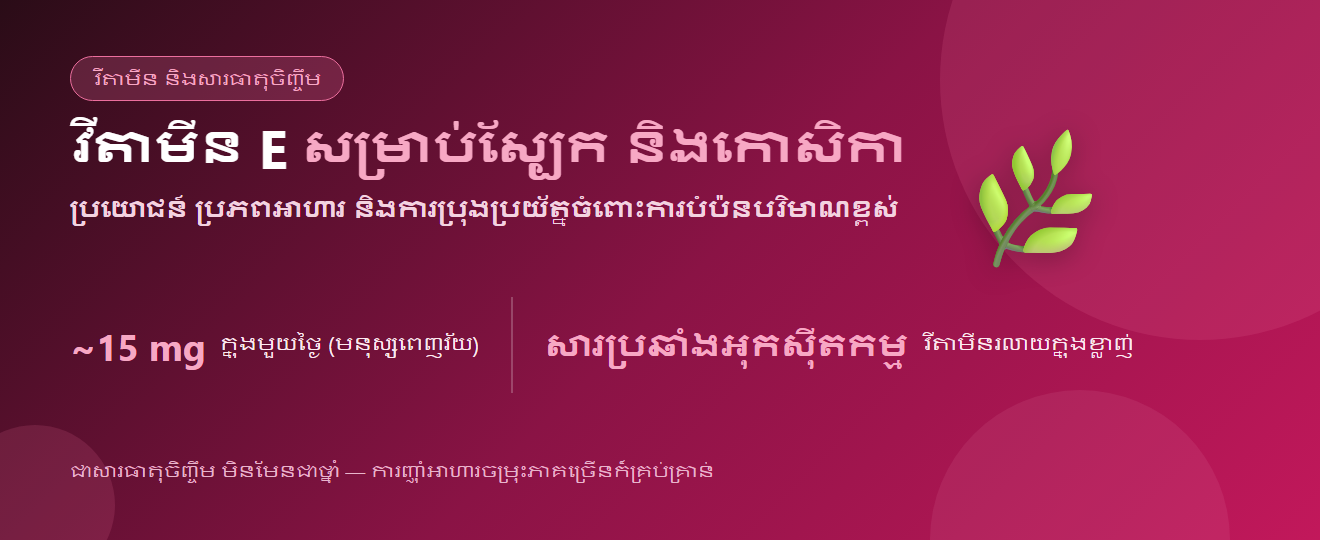 វីតាមីន E ៖ ប្រយោជន៍ ប្រភពអាហារ និងការប្រុងប្រយ័ត្ន