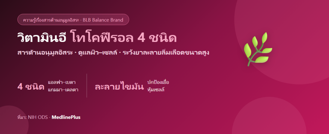วิตามินอี (โทโคฟีรอล 4 ชนิด) คืออะไร? สารต้านอนุมูลอิสระเพื่อผิวและเซลล์