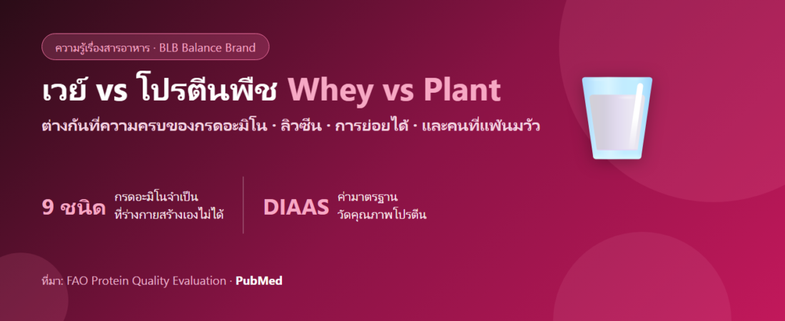 เวย์โปรตีน vs โปรตีนพืช ต่างกันยังไง? กรดอะมิโน การย่อยได้ และวิธีเลือกให้ตรงกับตัวเอง