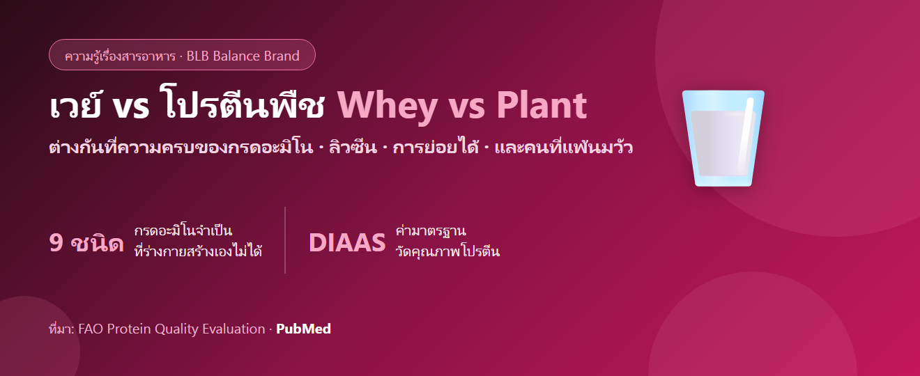 เวย์โปรตีน vs โปรตีนพืช ต่างกันยังไง? กรดอะมิโน การย่อยได้ และวิธีเลือกให้ตรงกับตัวเอง