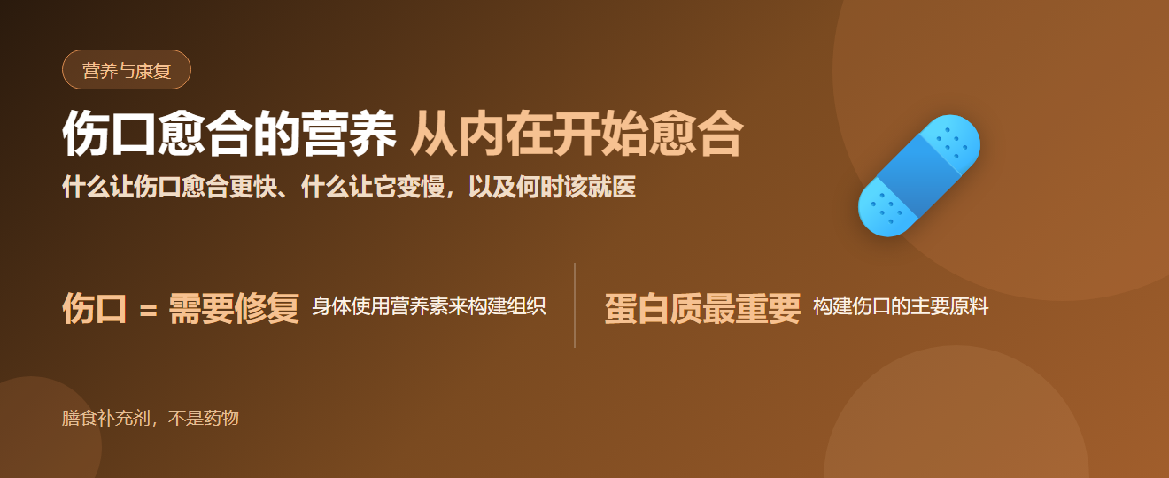 伤口愈合的营养——哪些食物能支持更快愈合，以及何时该就医