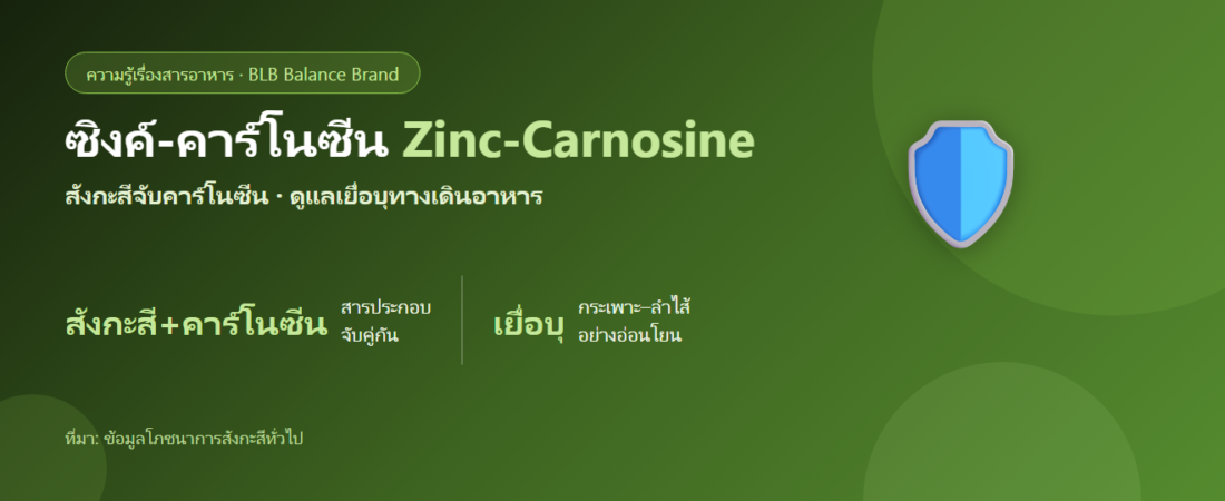 ซิงค์-คาร์โนซีน (Zinc-Carnosine) คืออะไร? กับการดูแลเยื่อบุกระเพาะ–ลำไส้