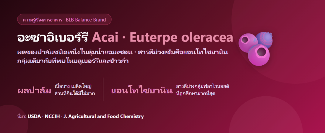อะซาอิเบอร์รี (Acai) คืออะไร? ผลไม้จากแอมะซอนกับค่าต้านอนุมูลอิสระที่ต้องอ่านให้เป็น