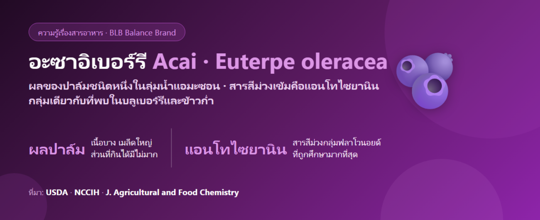 อะซาอิเบอร์รี (Acai) คืออะไร? ผลไม้จากแอมะซอนกับค่าต้านอนุมูลอิสระที่ต้องอ่านให้เป็น