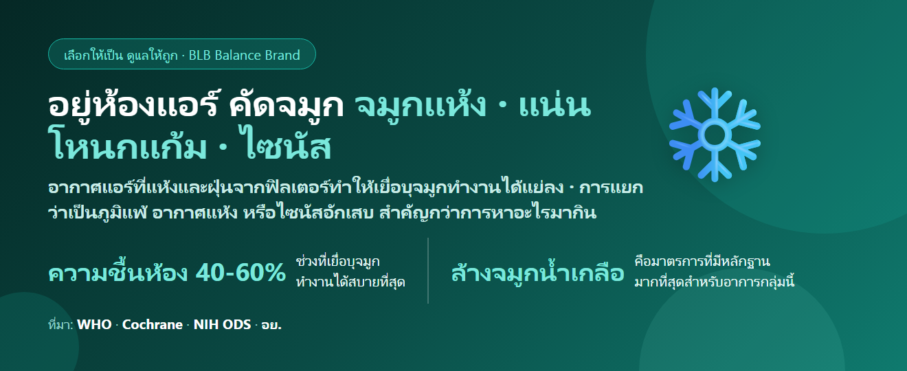 อยู่ห้องแอร์ทั้งวัน คัดจมูก แน่นโหนกแก้ม กินอะไรดี? ดูแลจมูกและไซนัสอย่างเข้าใจ