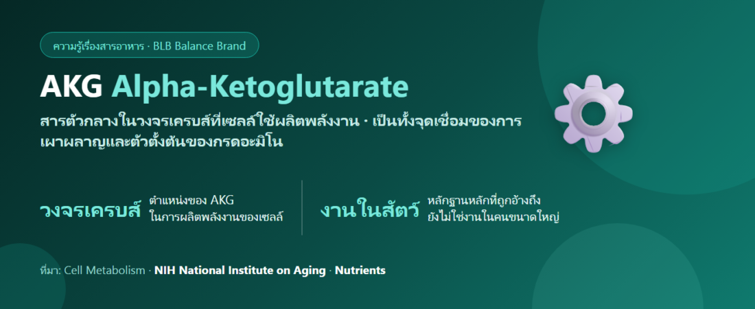 อัลฟา-คีโตกลูตาเรต (AKG) คืออะไร? สารกลางในวงจรพลังงานที่กลายเป็นดาวรุ่งวงการชะลอวัย