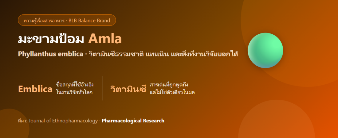 มะขามป้อม (Amla) คืออะไร? วิตามินซีธรรมชาติกับพอลิฟีนอลที่มาด้วยกัน