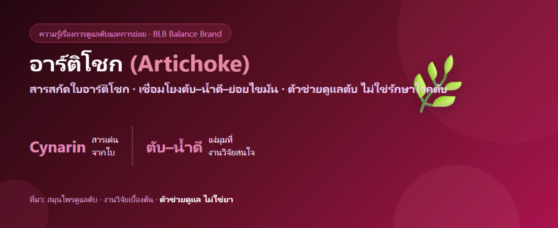 อาร์ติโชก (Artichoke) กับตับ น้ำดี และการย่อยไขมัน