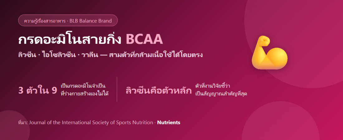 BCAA คืออะไร? กรดอะมิโนสายกิ่ง 3 ตัว กับคำถามว่าจำเป็นจริงไหมถ้ากินโปรตีนพออยู่แล้ว