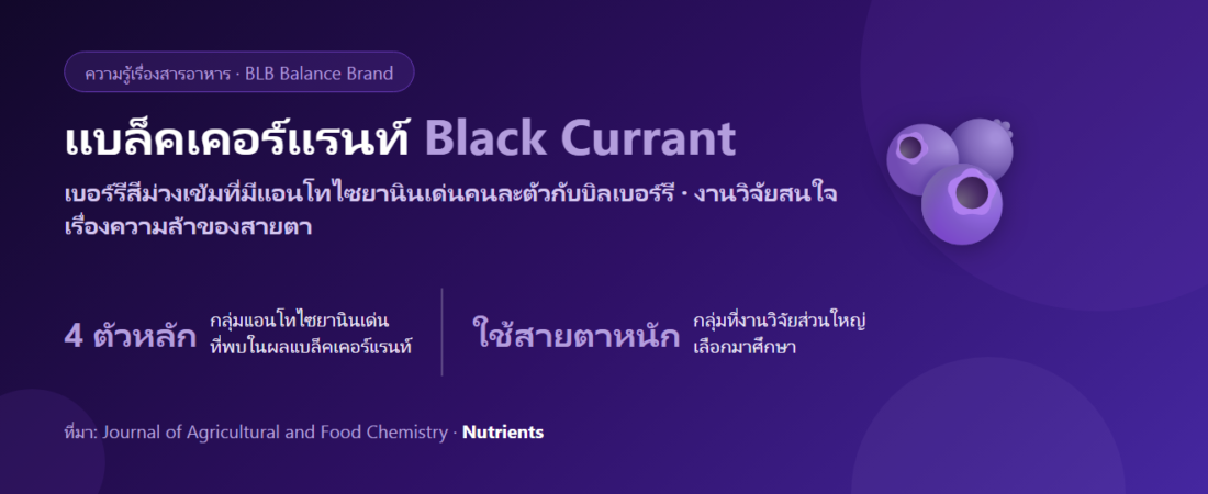 แบล็คเคอร์แรนท์ (Black Currant) กับแอนโทไซยานิน คืออะไร? เบอร์รีที่ถูกศึกษาเรื่องดวงตาและการล้าจากจอ