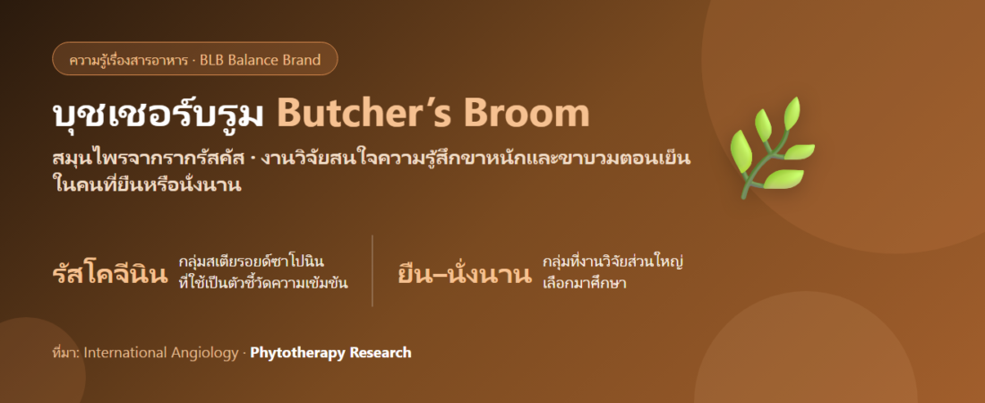 บุชเชอร์บรูม (Butcher’s Broom) คืออะไร? สมุนไพรที่งานวิจัยสนใจเรื่องขาหนัก ขาบวมตอนเย็น