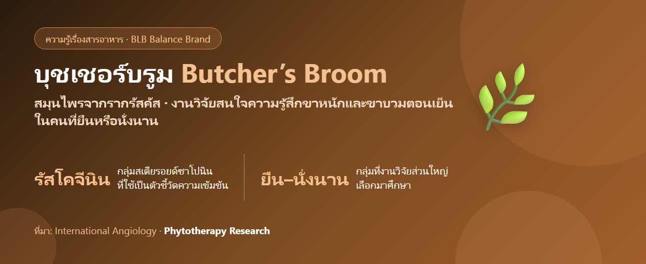 บุชเชอร์บรูม (Butcher’s Broom) คืออะไร? สมุนไพรที่งานวิจัยสนใจเรื่องขาหนัก ขาบวมตอนเย็น