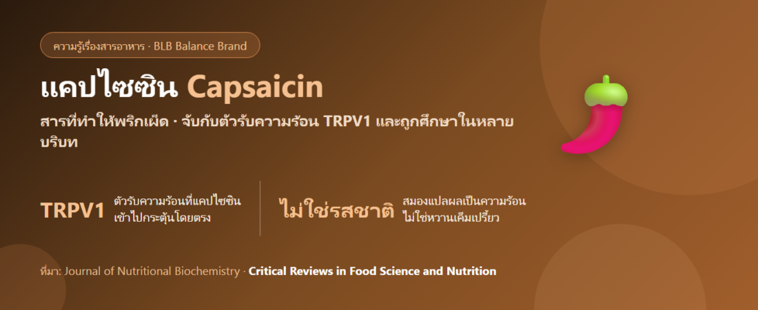 แคปไซซิน (Capsaicin) คืออะไร? สารเผ็ดในพริกกับงานวิจัยเรื่องการไหลเวียนและเมแทบอลิซึม