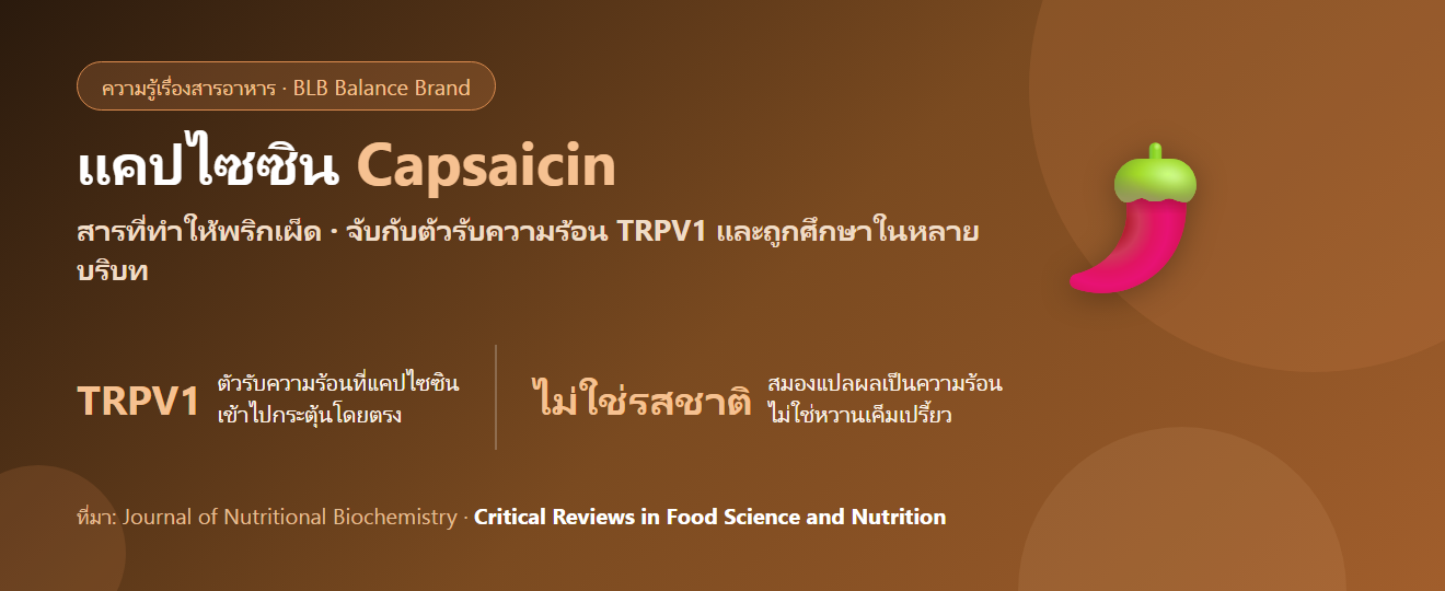 แคปไซซิน (Capsaicin) คืออะไร? สารเผ็ดในพริกกับงานวิจัยเรื่องการไหลเวียนและเมแทบอลิซึม