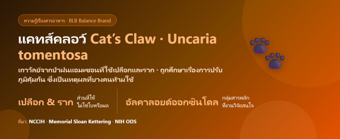 แคทส์คลอว์ (Cat’s Claw) คืออะไร? เถาวัลย์แอมะซอนกับข้ออ้างเรื่องภูมิคุ้มกันที่ต้องอ่านให้ครบ