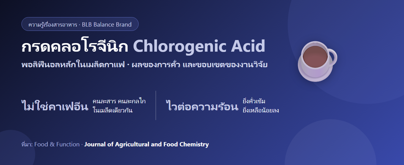 กรดคลอโรจีนิกในกาแฟคืออะไร? กาแฟคั่วอ่อน กาแฟเขียว และสิ่งที่งานวิจัยบอกได้