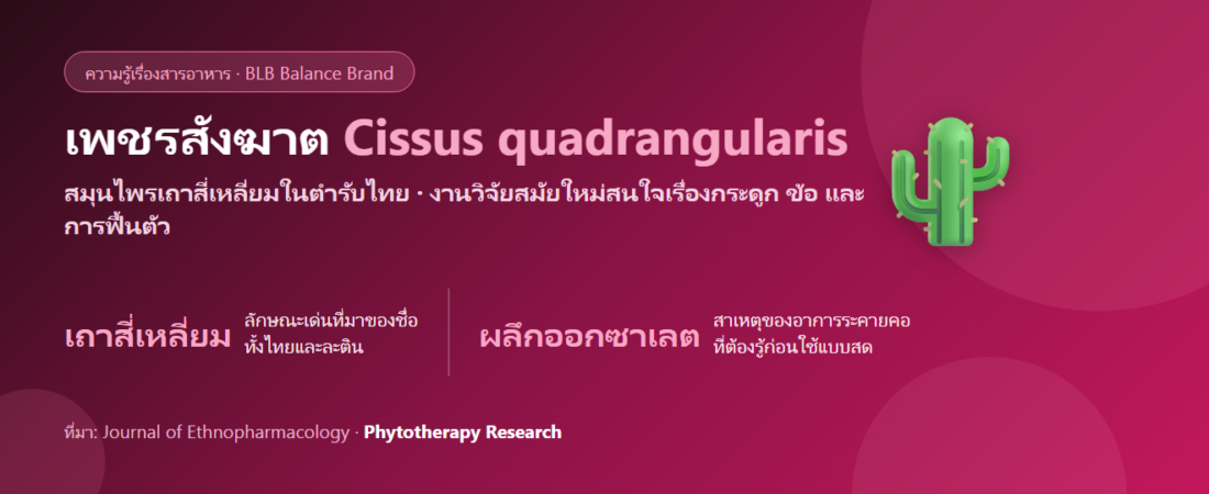 เพชรสังฆาต (Cissus quadrangularis) คืออะไร? สมุนไพรพื้นบ้านไทยที่งานวิจัยสนใจเรื่องกระดูกและข้อ