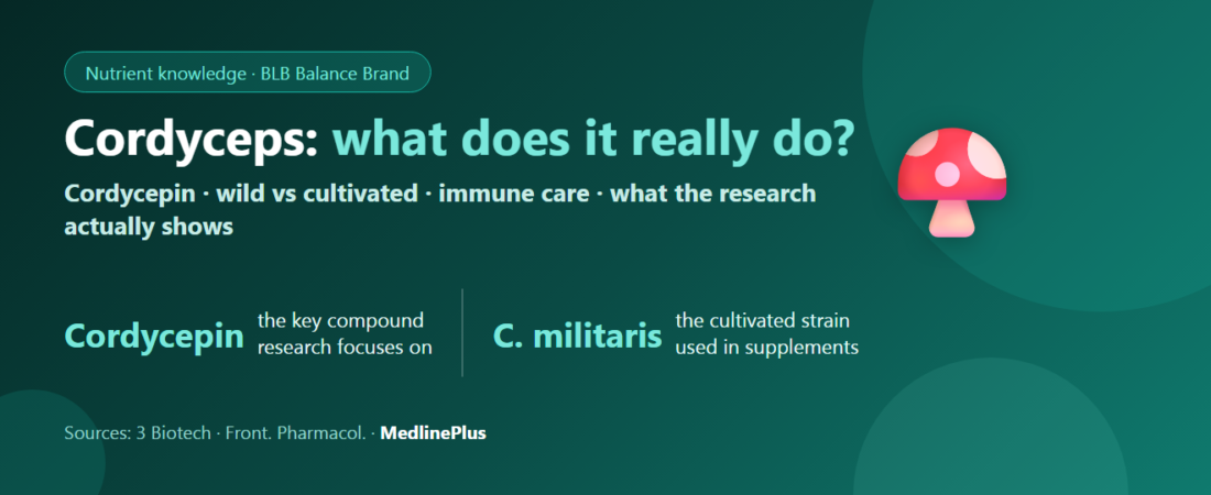 Cordyceps (Cordyceps militaris): What It Really Does, By the Research