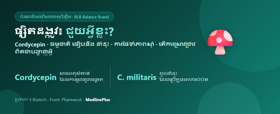 ផ្សិតដង្កូវ (Cordyceps) គឺជាអ្វី? Cordycepin និងការពិតពីការស្រាវជ្រាវ