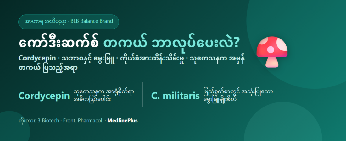 ကော်ဒီးဆက်စ် (Cordyceps) ဆိုတာဘာလဲ? တကယ်ဘာလုပ်ပေးလဲ — သုတေသနအရ