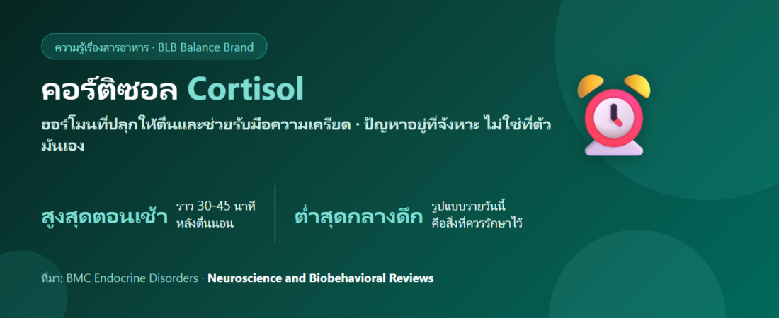 คอร์ติซอล (Cortisol) คืออะไร? ฮอร์โมนความเครียดที่ไม่ใช่ผู้ร้าย และวิธีอ่านสัญญาณให้ถูก