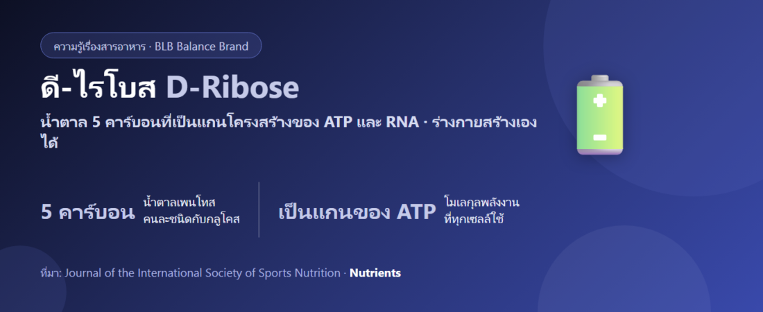 ดี-ไรโบส (D-Ribose) คืออะไร? น้ำตาลที่เป็นโครงของ ATP และคำถามว่าต้องกินเพิ่มไหม