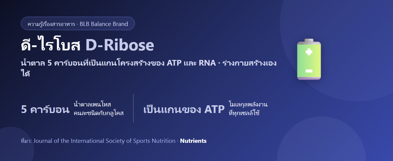 ดี-ไรโบส (D-Ribose) คืออะไร? น้ำตาลที่เป็นโครงของ ATP และคำถามว่าต้องกินเพิ่มไหม