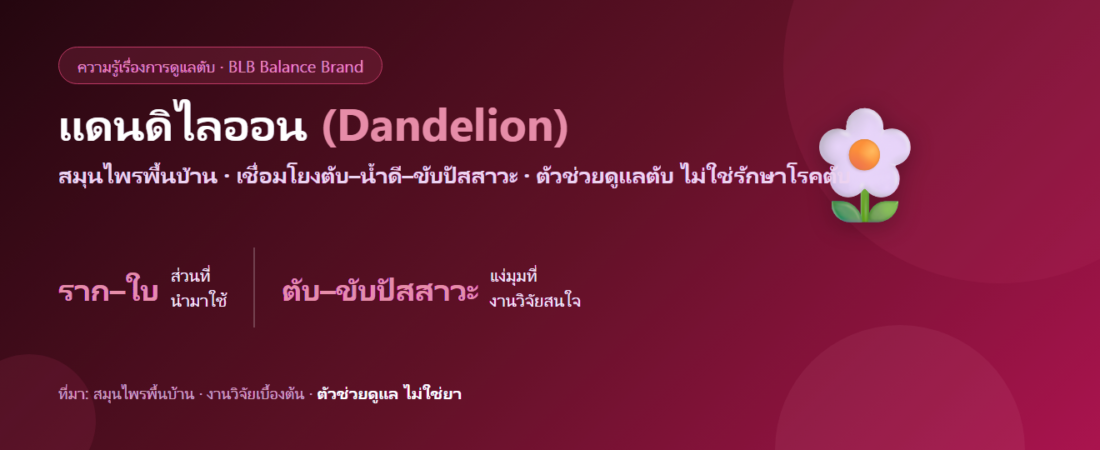 แดนดิไลออน (Dandelion) กับตับและการขับปัสสาวะ เข้าใจง่าย ๆ