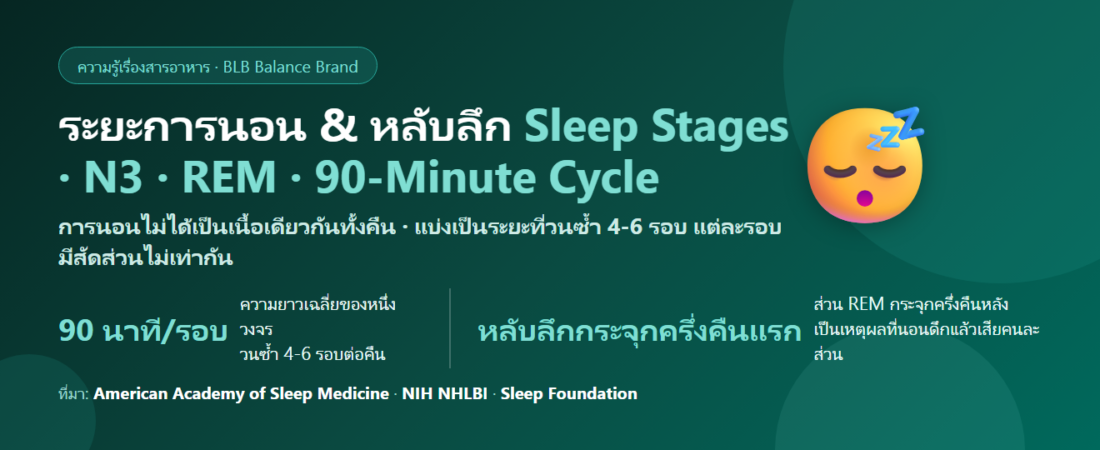 ระยะการนอนและหลับลึกคืออะไร? วงจร 90 นาทีที่อธิบายว่าทำไมนอน 8 ชั่วโมงแล้วยังเพลีย