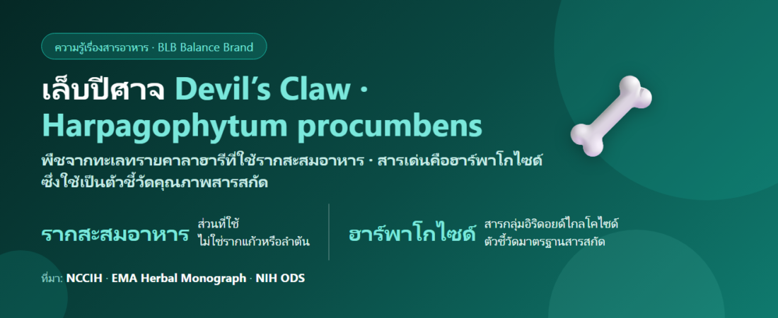 เล็บปีศาจ (Devil’s Claw) คืออะไร? สมุนไพรแอฟริกากับเรื่องข้อที่ต้องอ่านให้ครบ