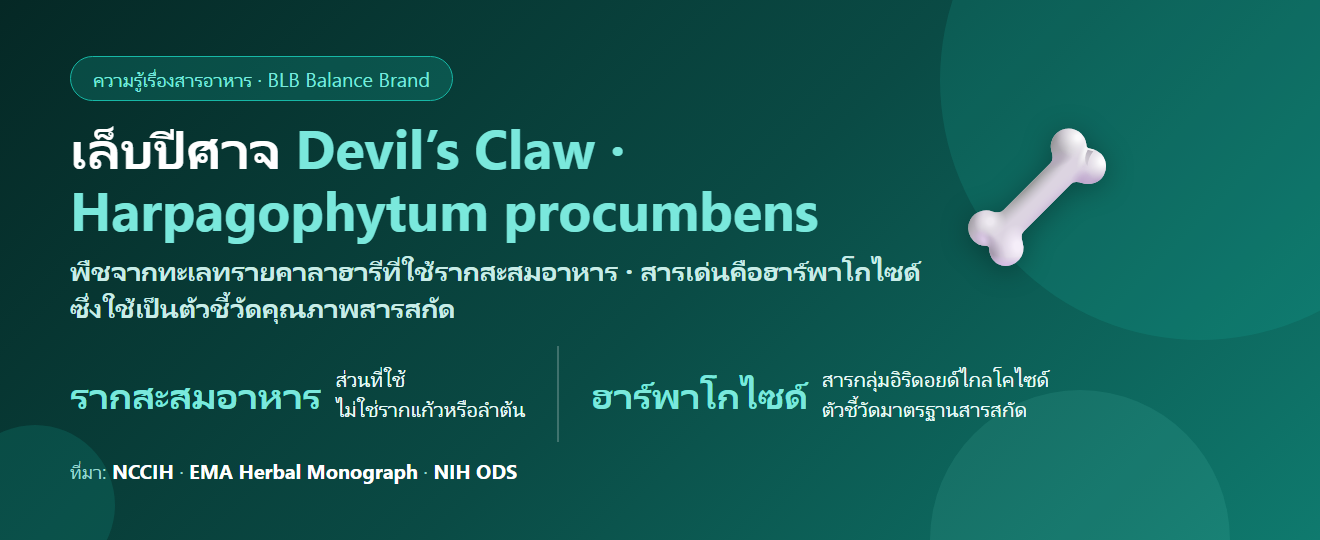 เล็บปีศาจ (Devil’s Claw) คืออะไร? สมุนไพรแอฟริกากับเรื่องข้อที่ต้องอ่านให้ครบ