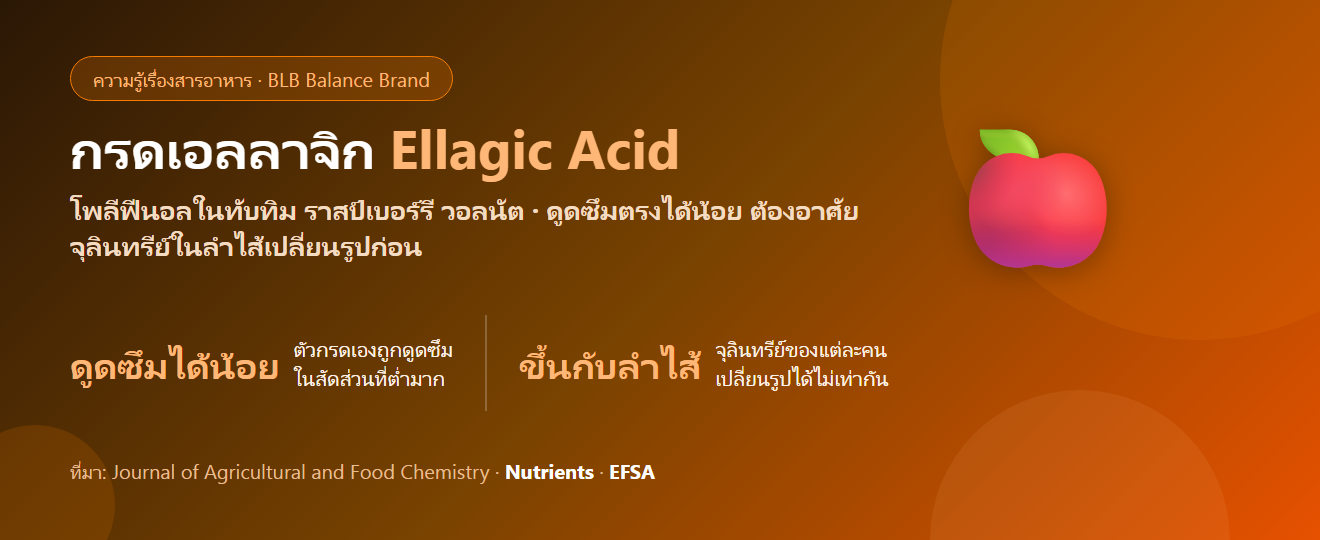 กรดเอลลาจิก (Ellagic Acid) คืออะไร? โพลีฟีนอลจากทับทิมที่ลำไส้ของแต่ละคนจัดการไม่เท่ากัน