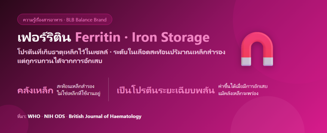เฟอร์ริติน (Ferritin) คืออะไร? ค่าคลังเหล็กในร่างกายที่อ่านผิดกันบ่อยที่สุด