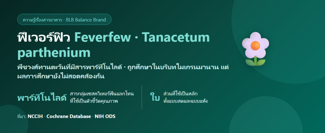 ฟีเวอร์ฟิว (Feverfew) คืออะไร? สมุนไพรที่ถูกพูดถึงเรื่องไมเกรน และสิ่งที่ต้องอ่านให้ครบ