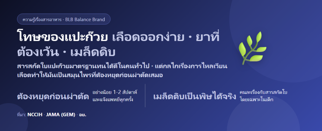 โทษของแปะก๊วย (Ginkgo biloba) มีอะไรบ้าง? เลือดออกง่าย ยาที่ต้องระวัง เรื่องชัก และผลเมล็ดที่กินไม่ได้