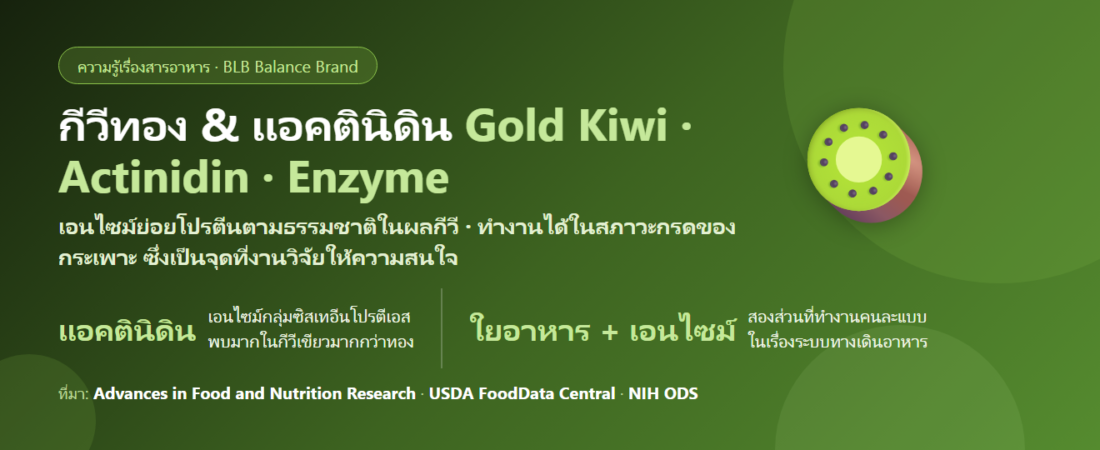 กีวีทองกับแอคตินิดิน (Actinidin) คืออะไร? เอนไซม์ย่อยโปรตีนในผลไม้ที่งานวิจัยสนใจ
