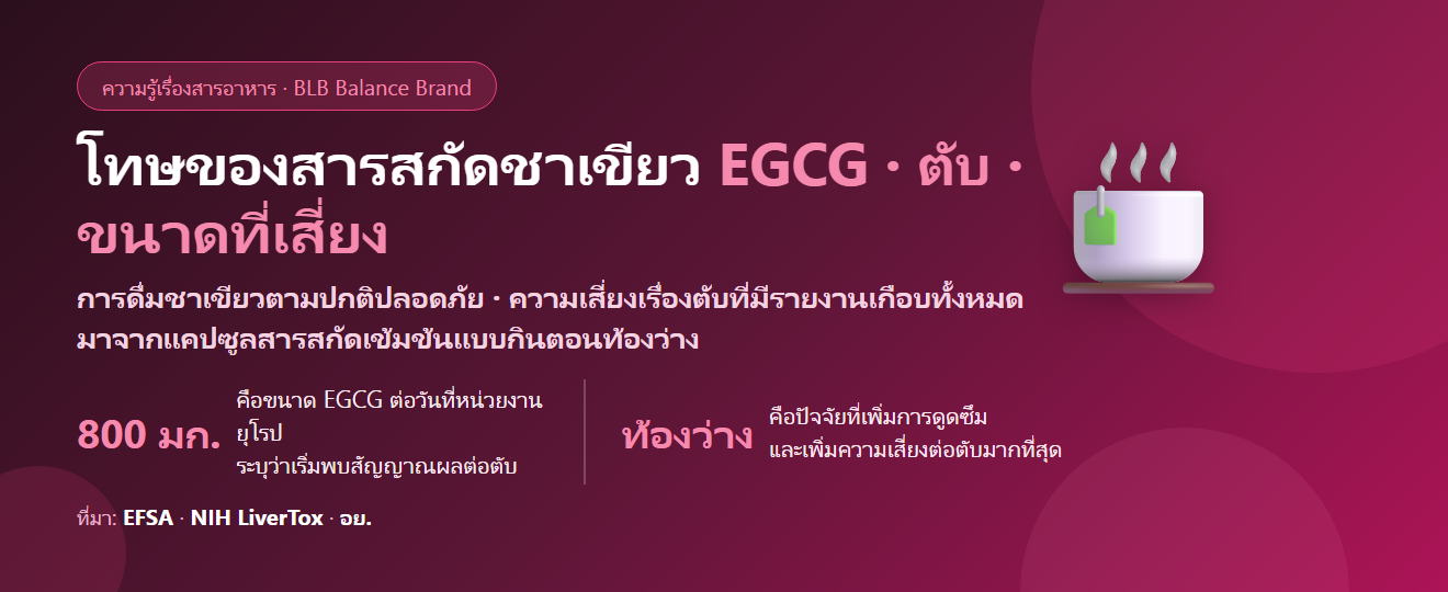 โทษของสารสกัดชาเขียว (EGCG) มีอะไรบ้าง? เรื่องตับที่ต้องรู้ ขนาดที่เสี่ยง และวิธีกินให้ปลอดภัย