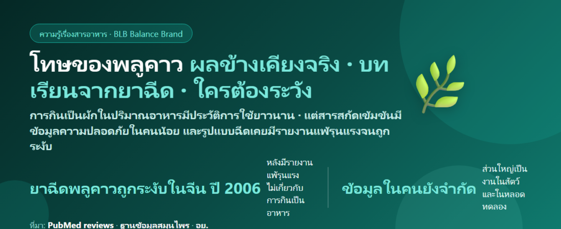 โทษของพลูคาว (Houttuynia) มีอะไรบ้าง? ผลข้างเคียง บทเรียนจากยาฉีด ยาที่ต้องระวัง และใครไม่ควรกิน