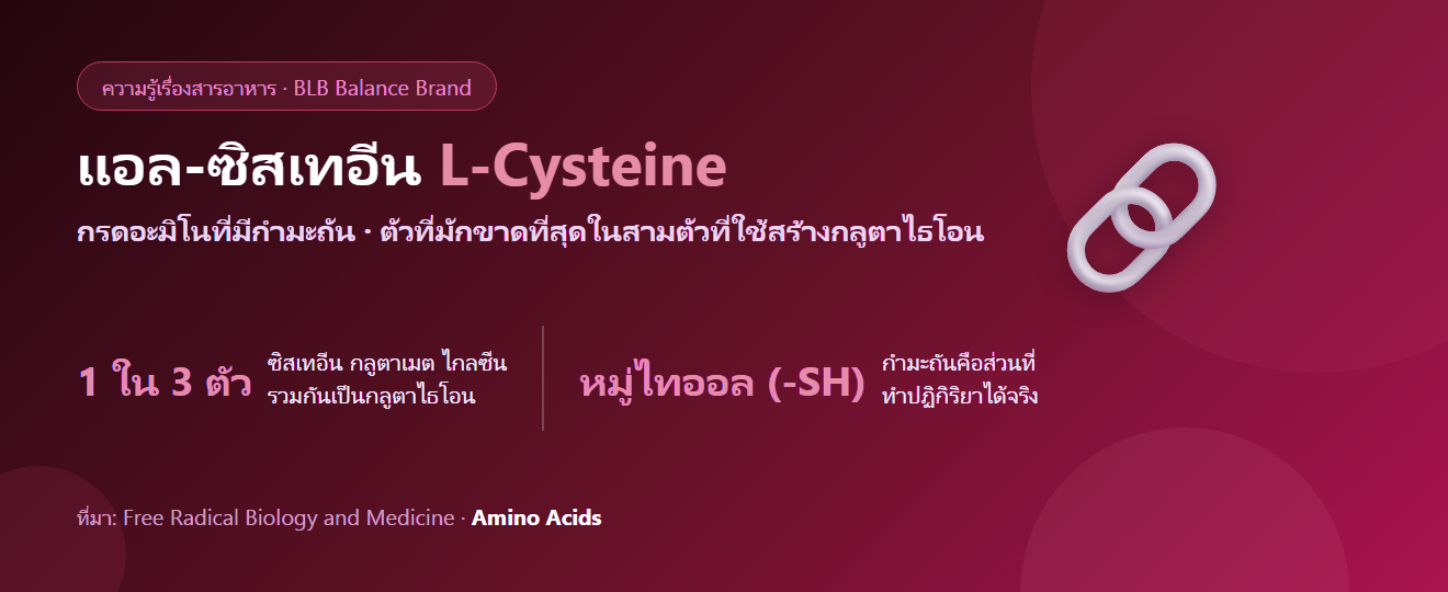 แอล-ซิสเทอีน (L-Cysteine) คืออะไร? กรดอะมิโนตัวคอขวดของการสร้างกลูตาไธโอน