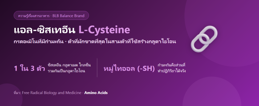 แอล-ซิสเทอีน (L-Cysteine) คืออะไร? กรดอะมิโนตัวคอขวดของการสร้างกลูตาไธโอน