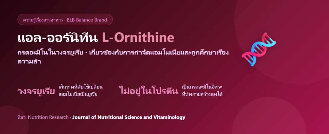 แอล-ออร์นิทีน (L-Ornithine) คืออะไร? วงจรยูเรีย แอมโมเนีย และงานวิจัยเรื่องความล้า