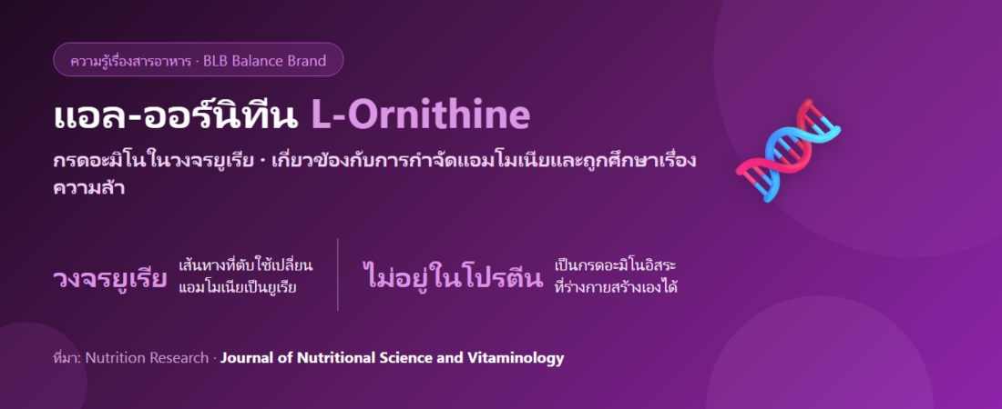 แอล-ออร์นิทีน (L-Ornithine) คืออะไร? วงจรยูเรีย แอมโมเนีย และงานวิจัยเรื่องความล้า