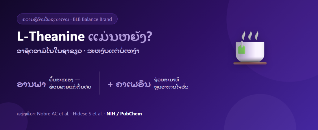 L-Theanine ແມ່ນຫຍັງ? ອາຊິດອາມິໂນໃນຊາຂຽວ ຜ່ອນຄາຍແຕ່ບໍ່ເຫງົານອນ